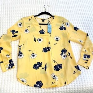 Ann Taylor sheer summery blouse with long sleeves